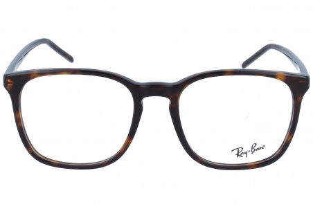 Ray-Ban RX5387 2012 52 18