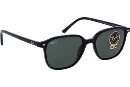 Ray-Ban Leonard RB2193 901/31 53 18