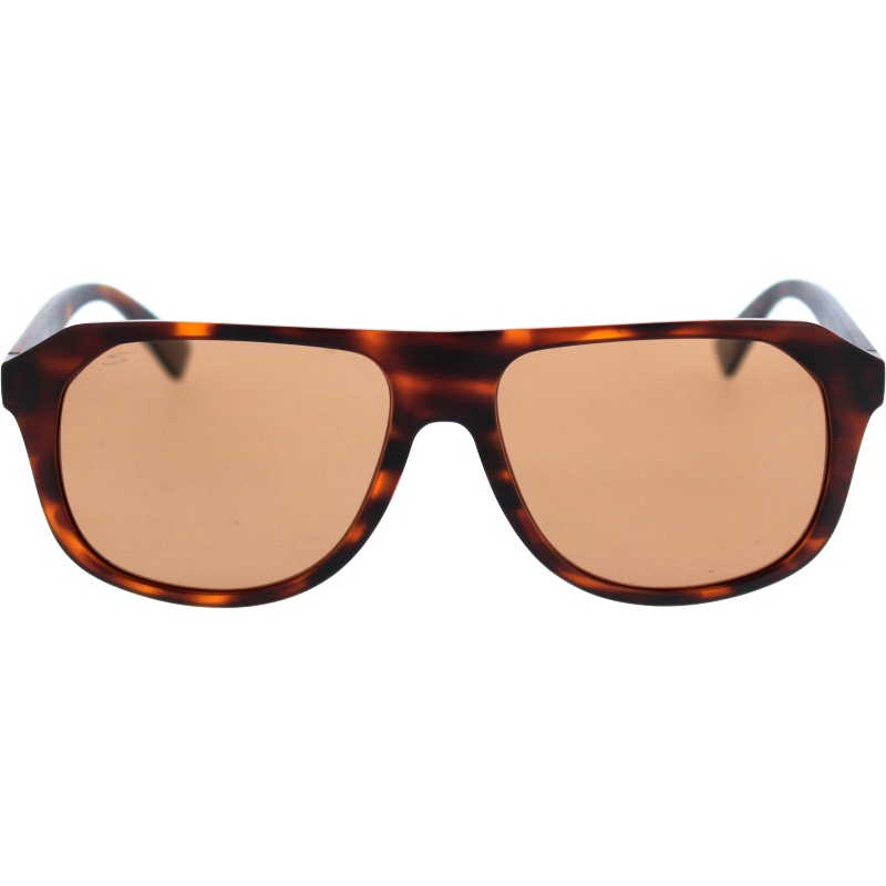 Serengeti Oatman 535002 Matte Classic Tortoise 57 15