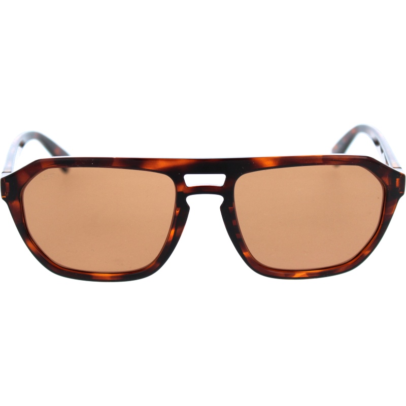 Serengeti Bellemon 534002 Shiny Classic Tortoise 56 18