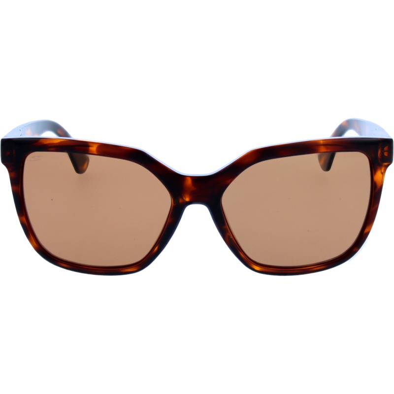 Serengeti Wakota 536003 Shiny Classic Tortoise 56 16